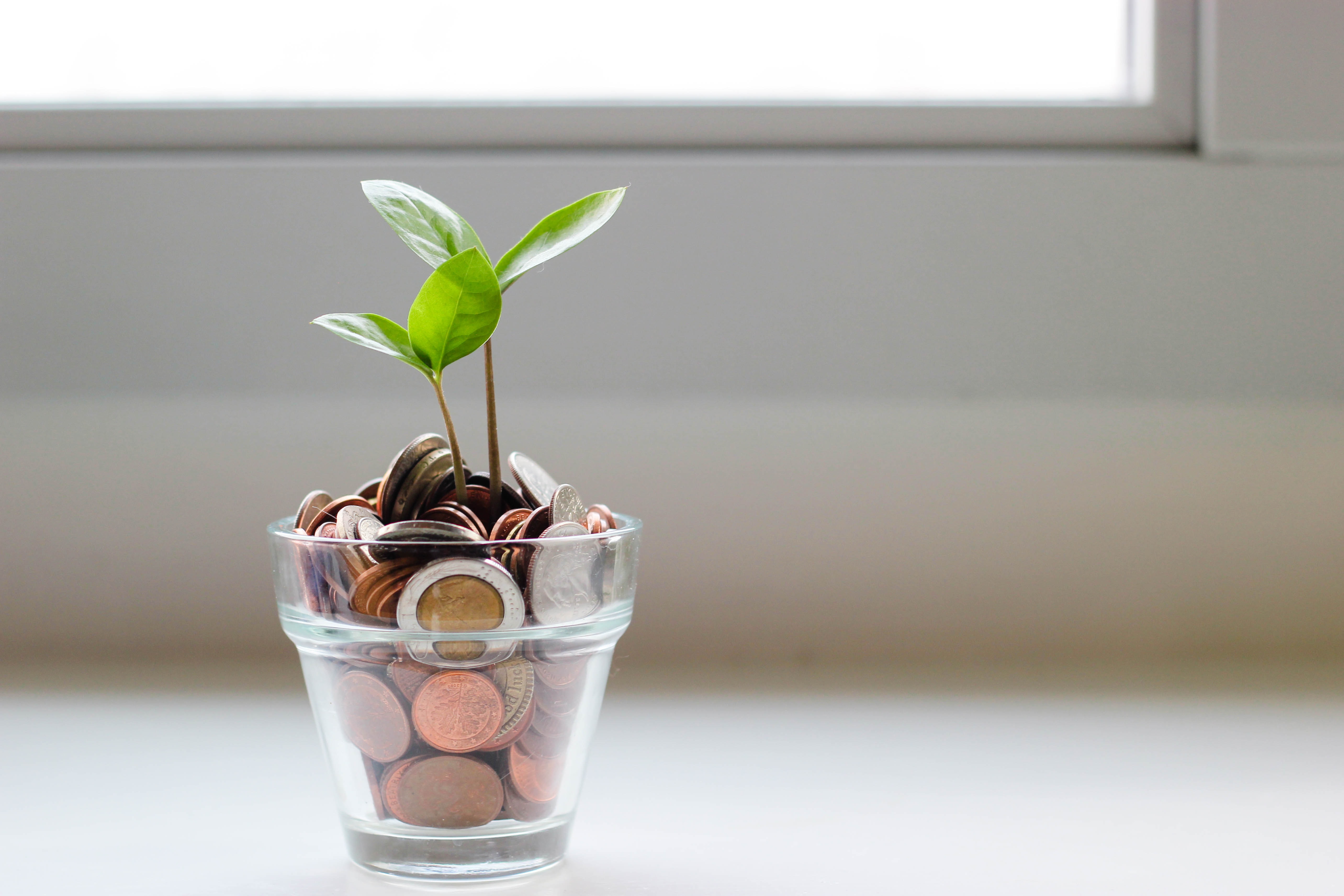 A small plant grows out of a glass jar full of coins